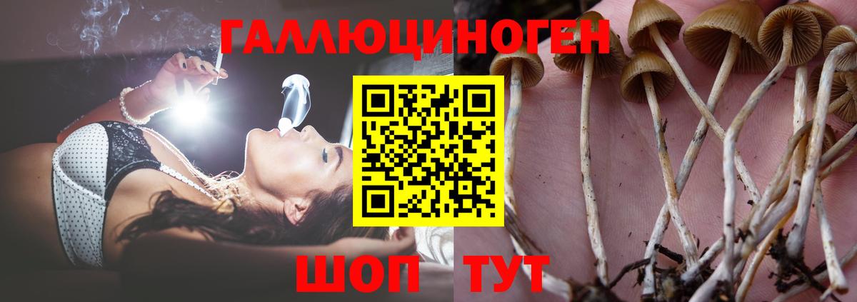 Меф МЯУ МЯУ   ЭКСТАЗИ  Вход с VPN  МЕТ  ГАШ  COCAIN  Железногорск  МАРИХУАНА 
